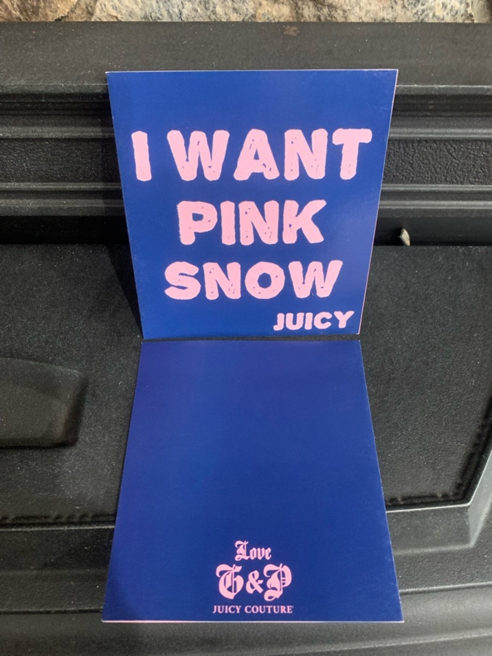 Juicy Couture Pam Gela I Want Pink Snow Juicy Blue Greeting Christmas Cards